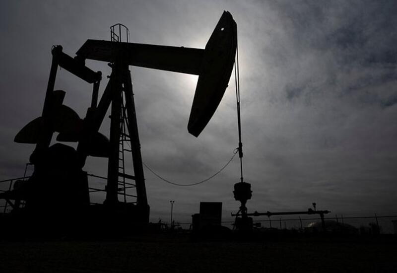 Добыче нефти в США предсказали падение