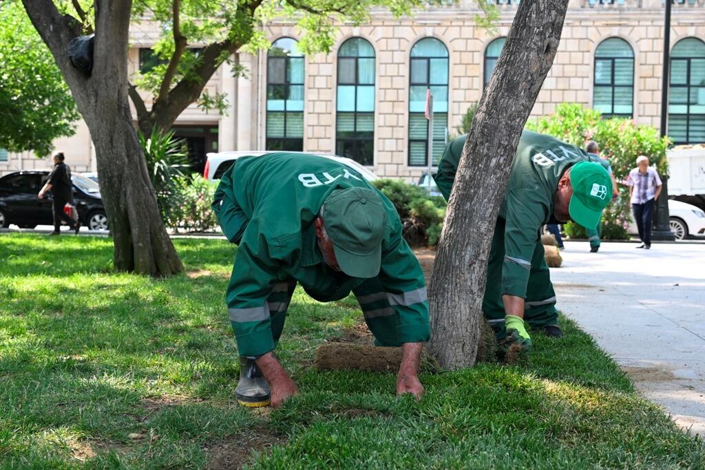 Paytaxtda növbəti geniş təmizlik işləri aparılıb