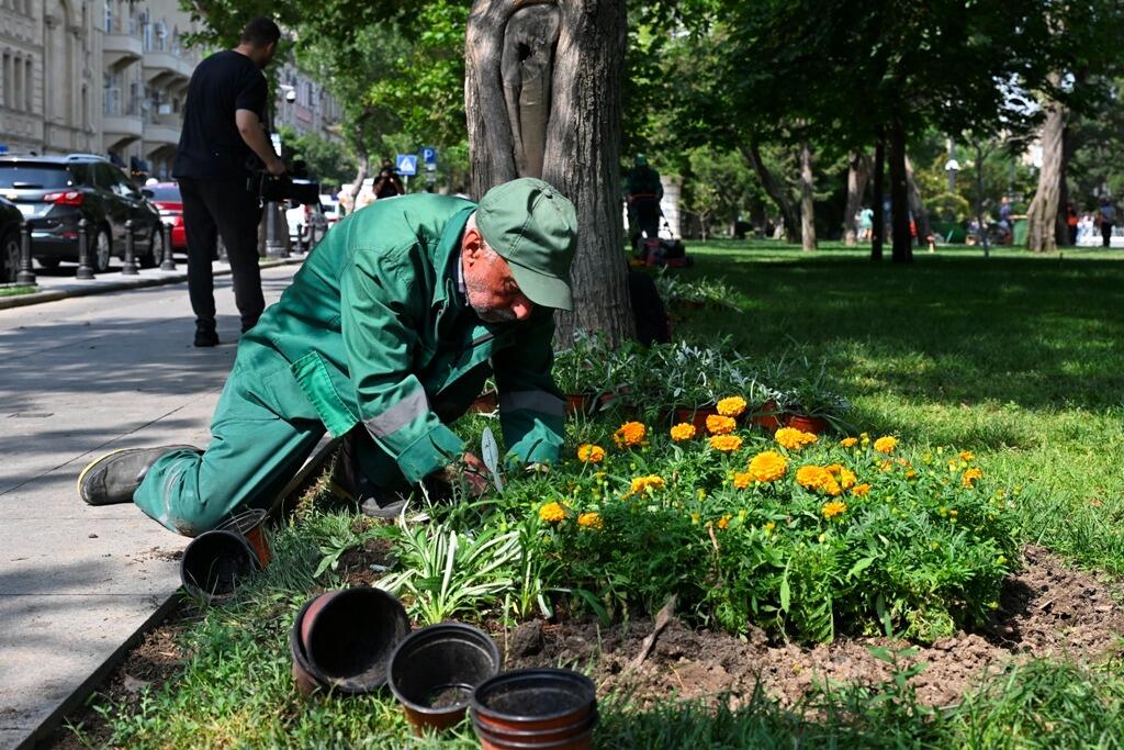 Paytaxtda növbəti geniş təmizlik işləri aparılıb