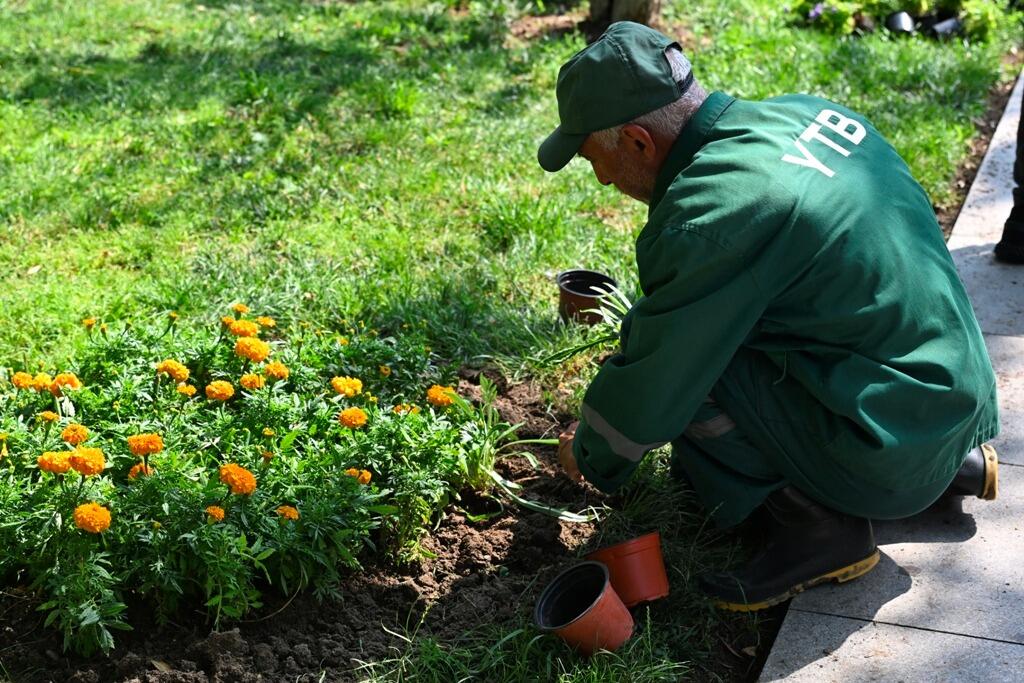 Paytaxtda növbəti geniş təmizlik işləri aparılıb