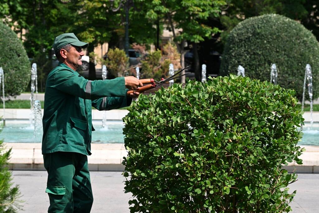 Paytaxtda növbəti geniş təmizlik işləri aparılıb