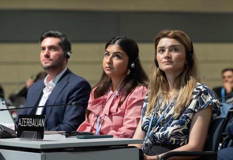 Команда COP29 Azerbaijan встретилась с бразильскими коллегами в Бонне