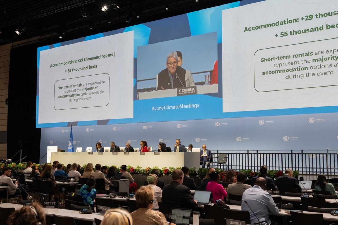 Команда COP29 Azerbaijan встретилась с бразильскими коллегами в Бонне