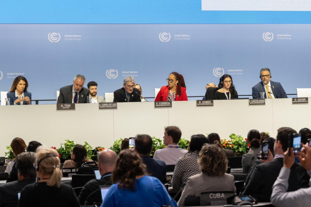Команда COP29 Azerbaijan встретилась с бразильскими коллегами в Бонне