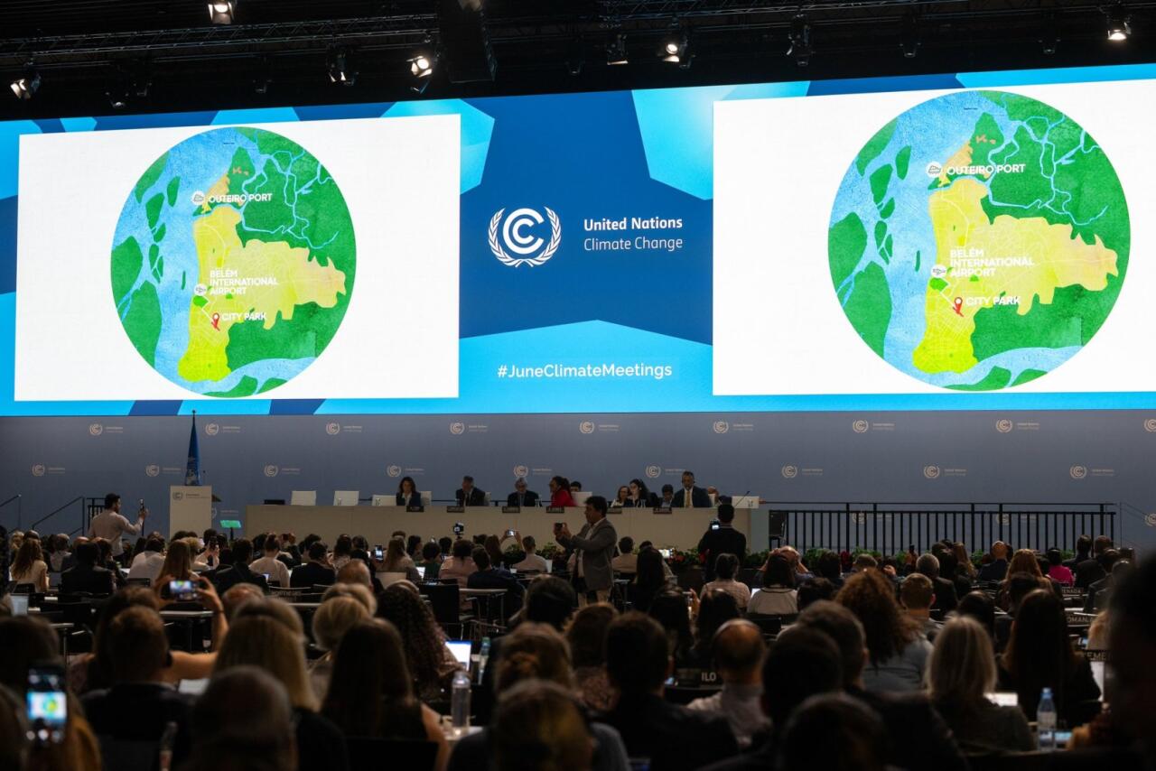 Команда COP29 Azerbaijan встретилась с бразильскими коллегами в Бонне