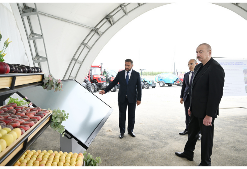 Президент Ильхам Алиев принял участие в открытии Евлахского пилотного агропарка
