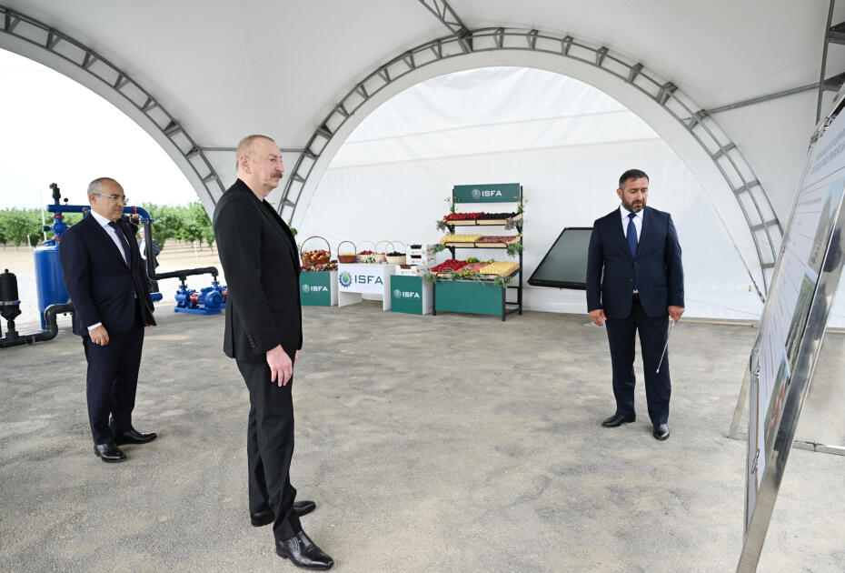 Президент Ильхам Алиев принял участие в открытии Евлахского пилотного агропарка