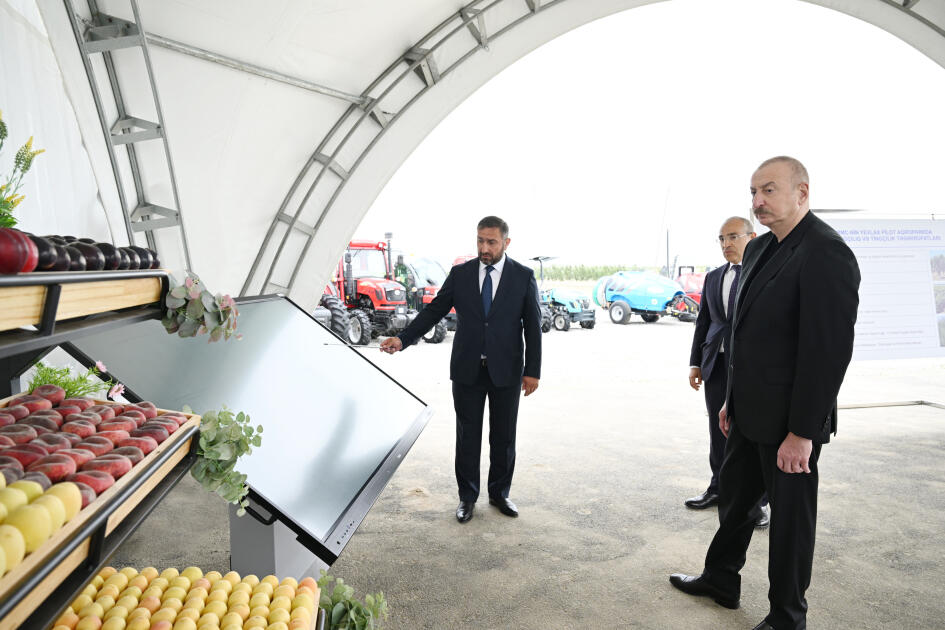 Президент Ильхам Алиев принял участие в открытии Евлахского пилотного агропарка