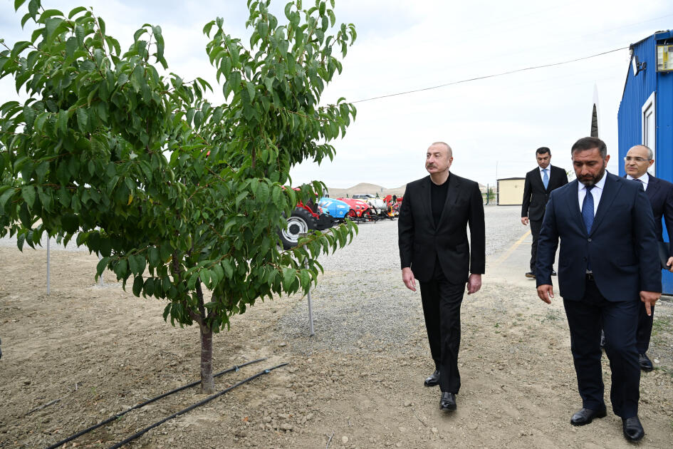 Президент Ильхам Алиев принял участие в открытии Евлахского пилотного агропарка