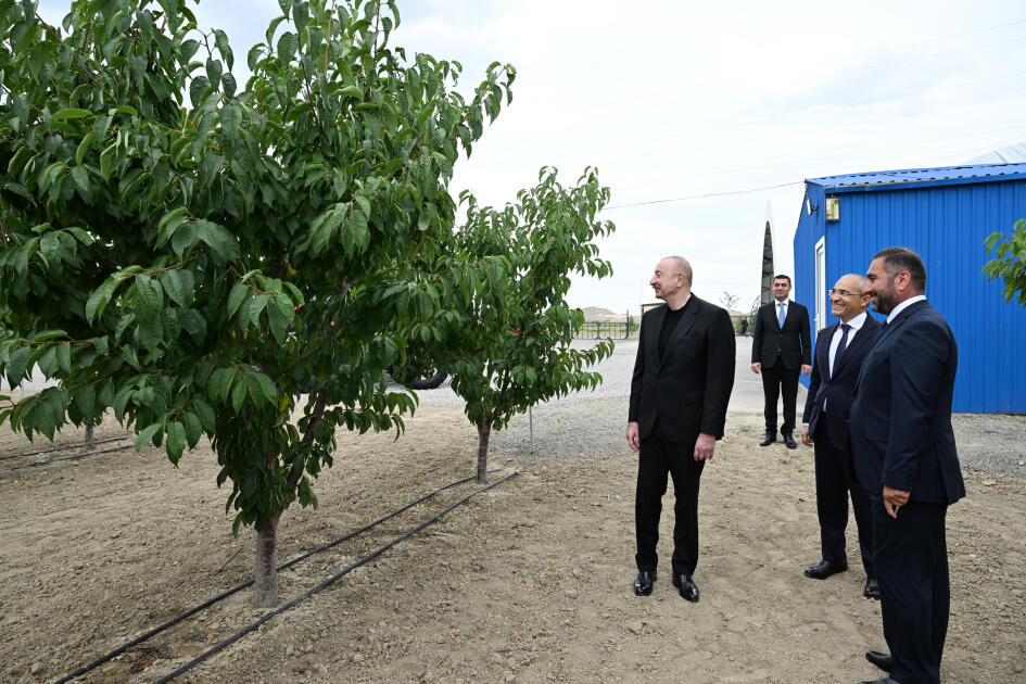 Президент Ильхам Алиев принял участие в открытии Евлахского пилотного агропарка