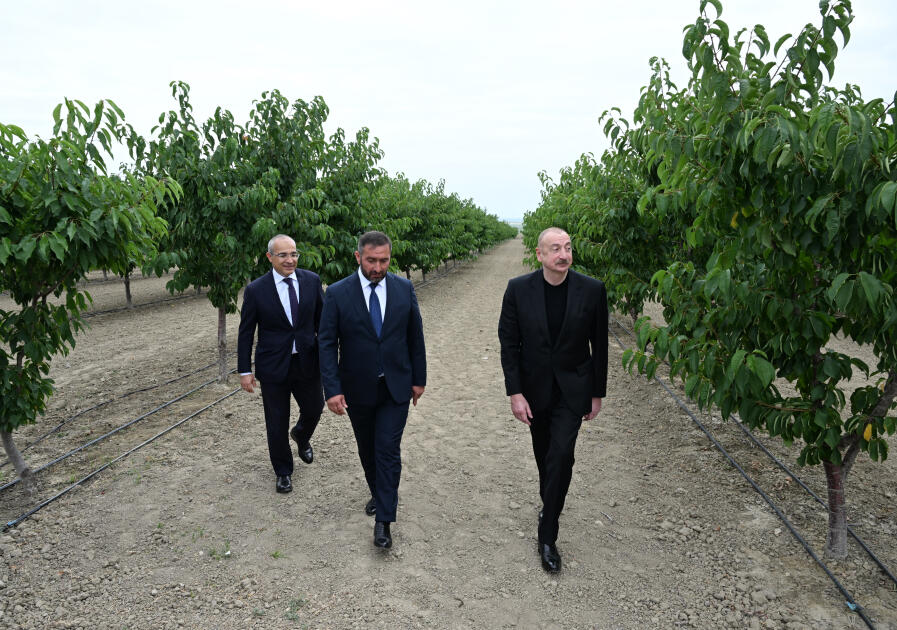 Президент Ильхам Алиев принял участие в открытии Евлахского пилотного агропарка