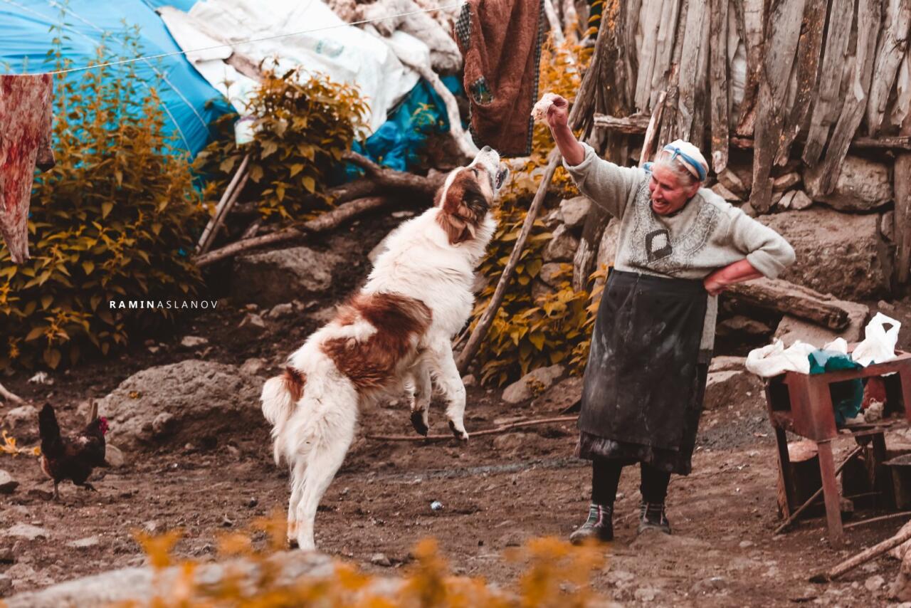 От крепости к крепости – Гедабей