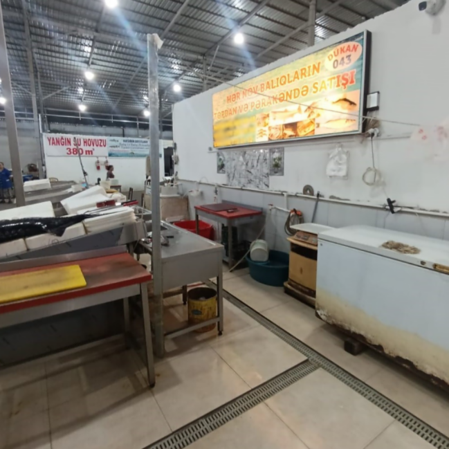 Bakıda məşhur bazarda yararsız balıqlar satırlarmış