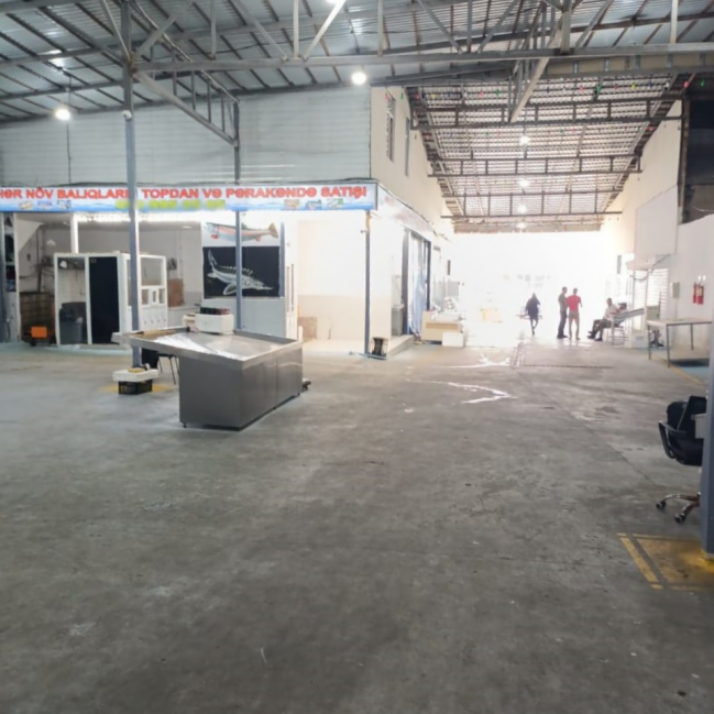 Bakıda məşhur bazarda yararsız balıqlar satırlarmış