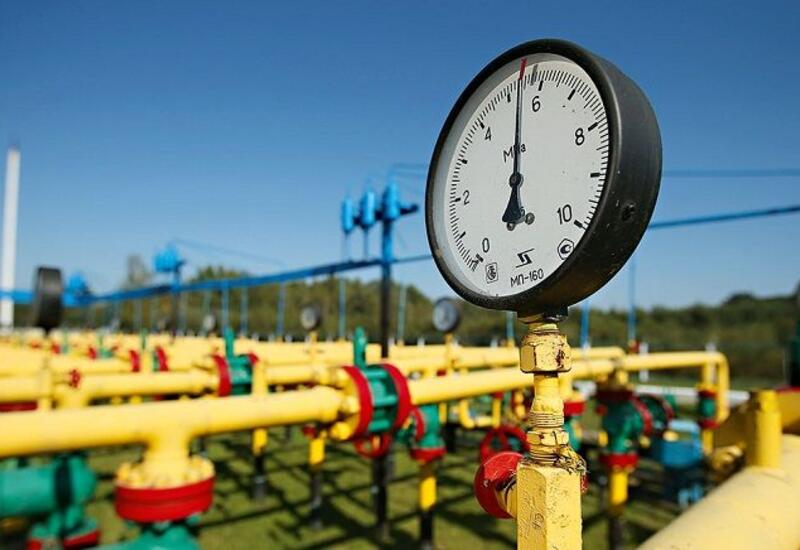 Qazın nəqli, satışı və istehlakını tənzimləyən orqanın hüququ statusu müəyyənləşir