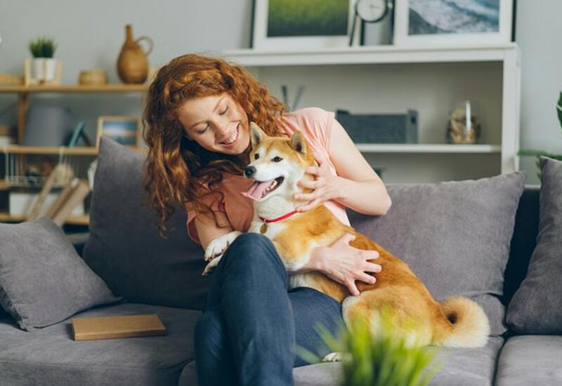 Доказана удивительная польза кошек и собак