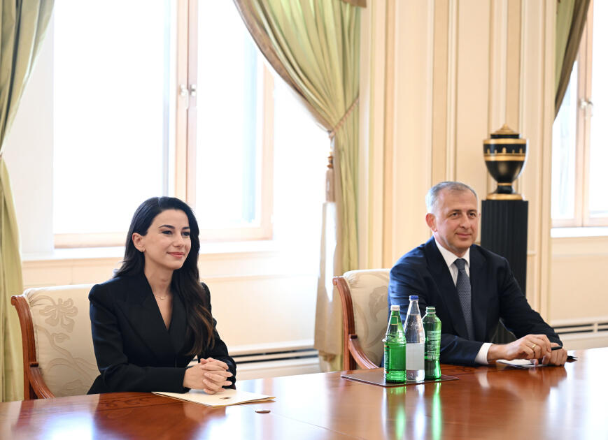 Президент Ильхам Алиев принял министра экономики и устойчивого развития Грузии