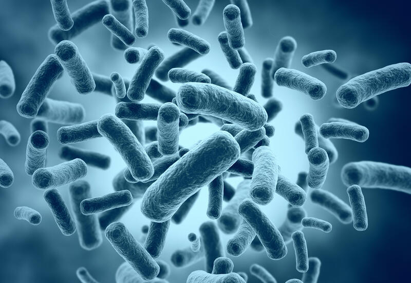 Открыто секретное оружие бактерий холеры