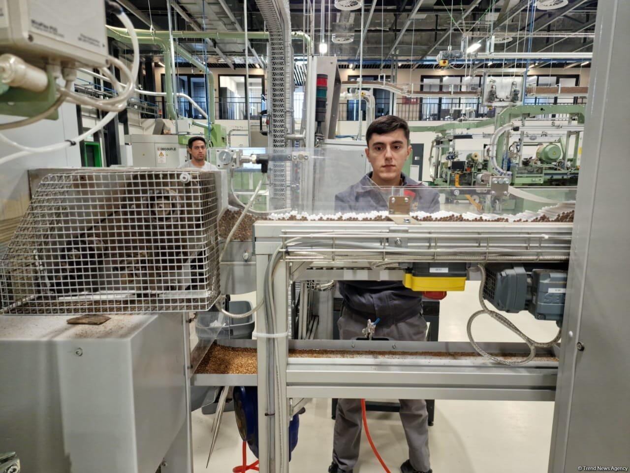 Названа инвестиционная стоимость предприятия по производству табачных изделий в Агдаме