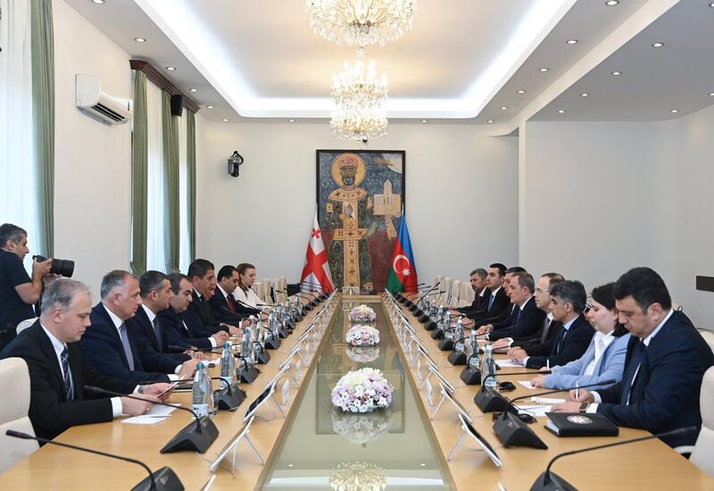 Ceyhun Bayramov Gürcüstanın spikeri ilə strateji tərəfdaşlığı müzakirə edib