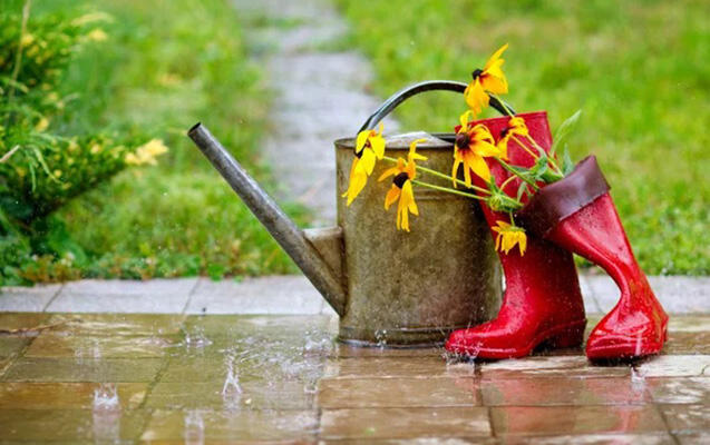 Napoved vremena v Azerbajdžanu: Možni plohe in nevihte, vročina se bo nadaljevala