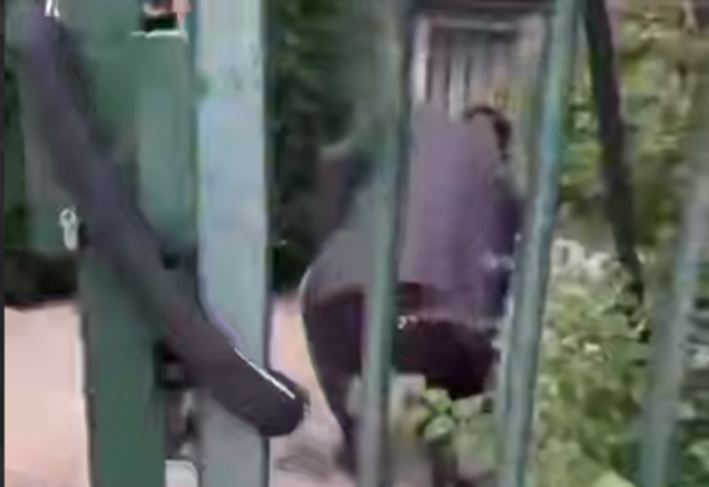 Политический протест у посольства Египта