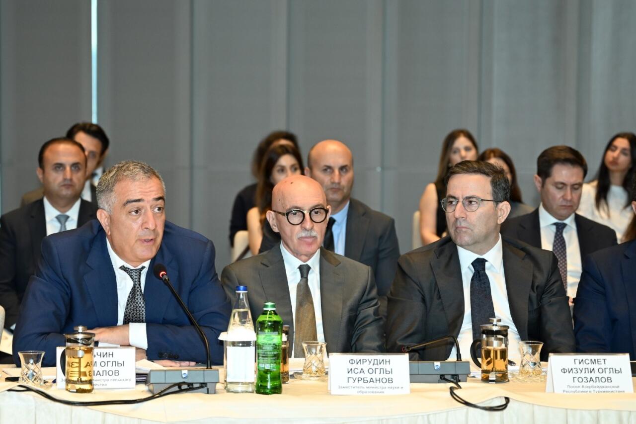 Türkmənistanla Birgə Hökumətlərarası Komissiyanın iclası keçirilib