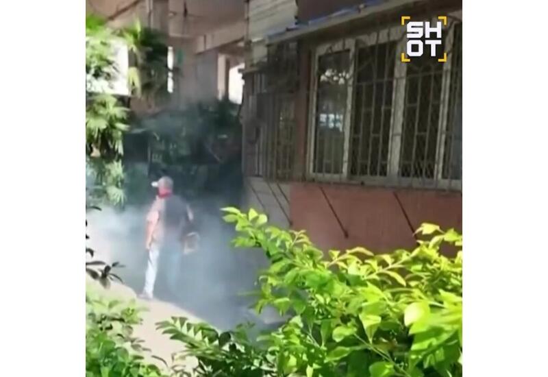 Вспышка смертельной болезни в Китае