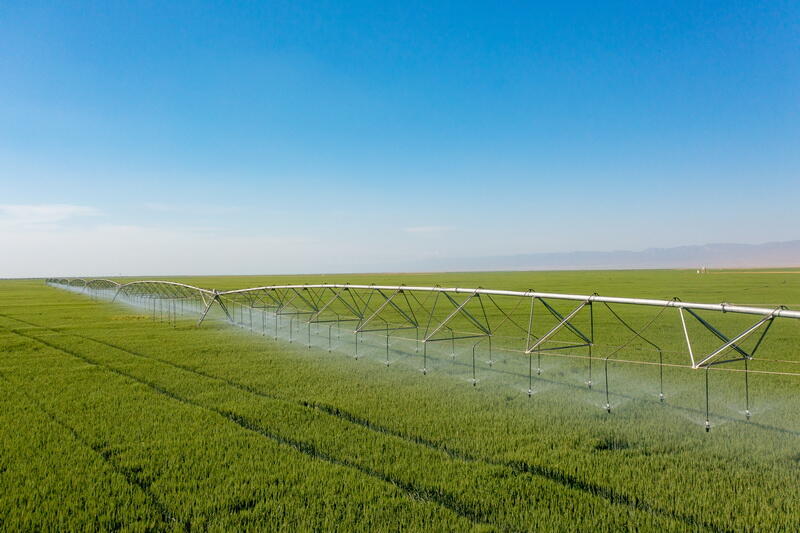 “Agro Dairy”də taxıl biçini mövsümü rekord göstəricilərlə yekunlaşıb