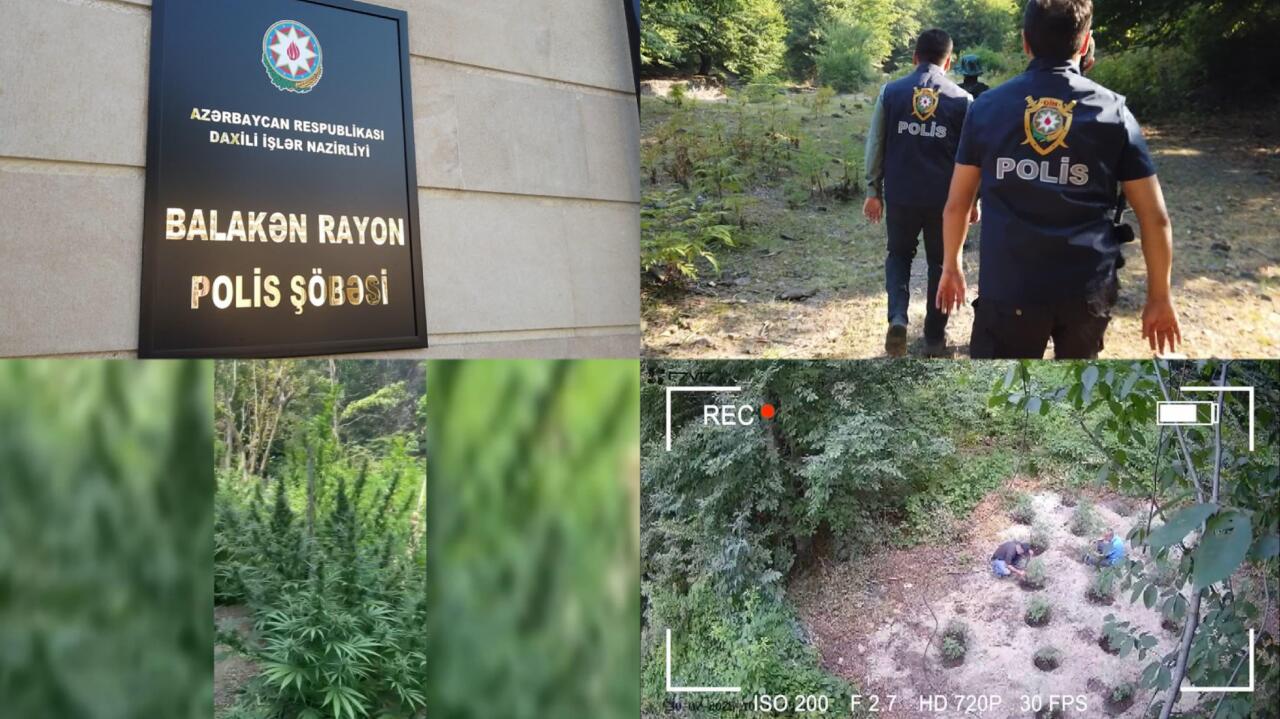 Спецоперация в Балакене: в горах задержана вооружённая наркогруппа