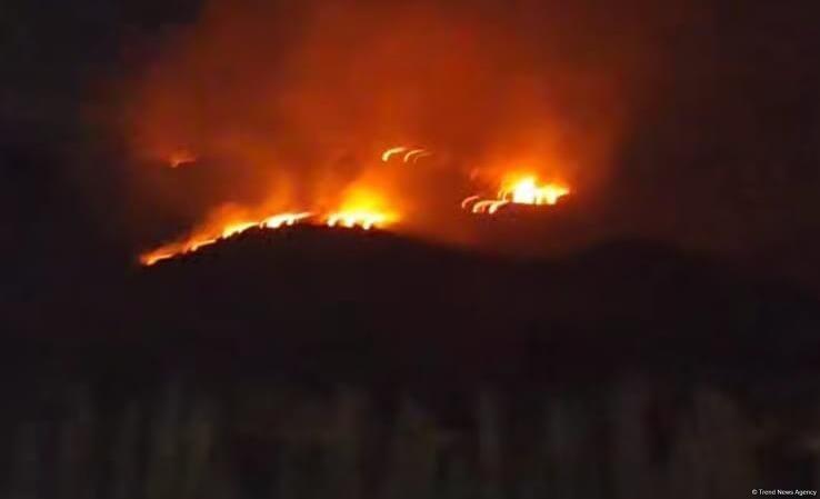 Пожар начался в лесном массиве в поселке Суговушан