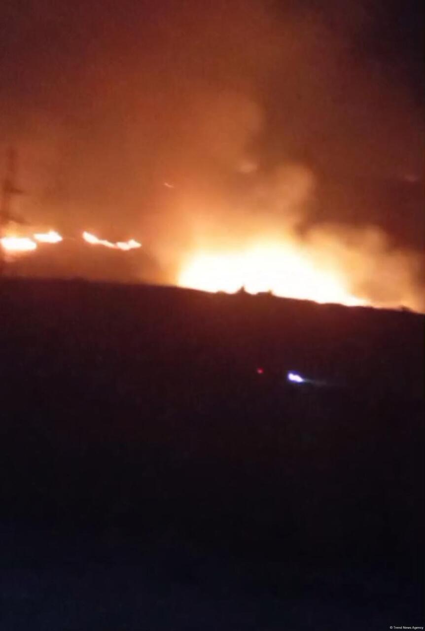 Пожар начался в лесном массиве в поселке Суговушан