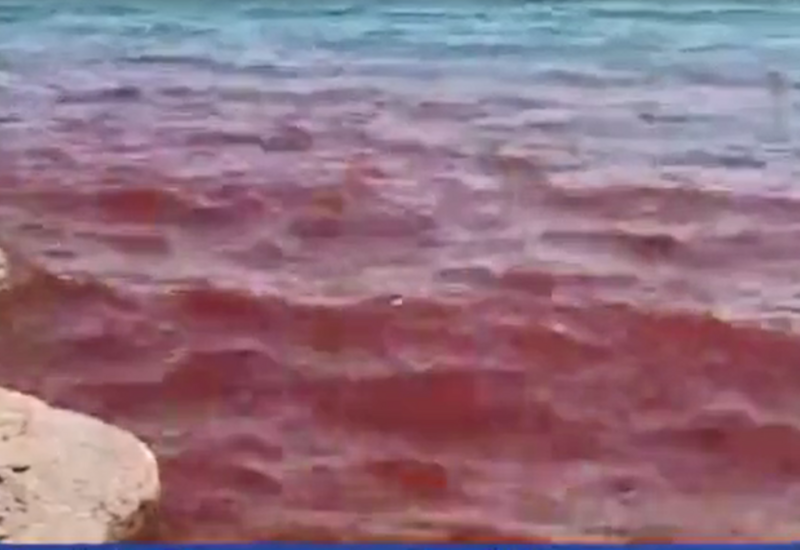 Галилейское море в Израиле напугало людей