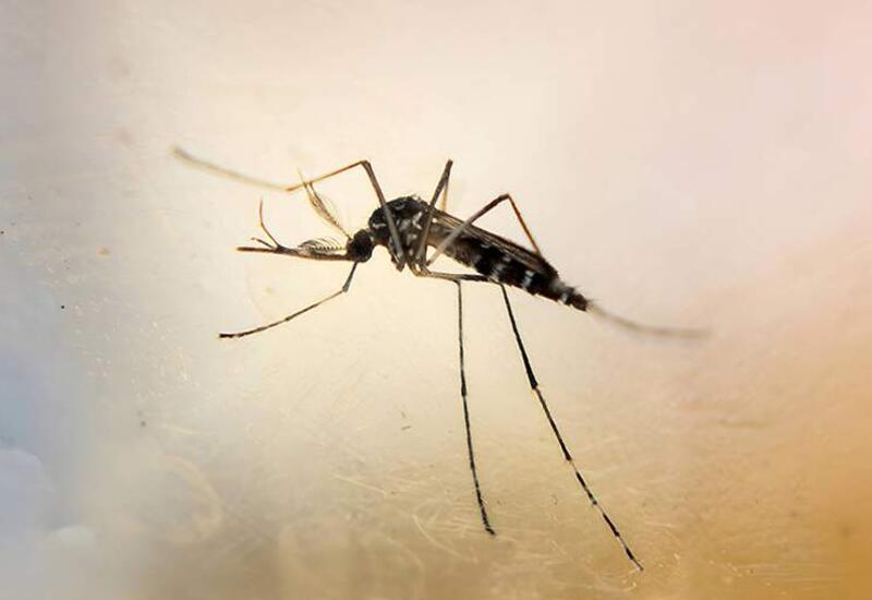 Химик рассказал об опасности использования спреев от комаров