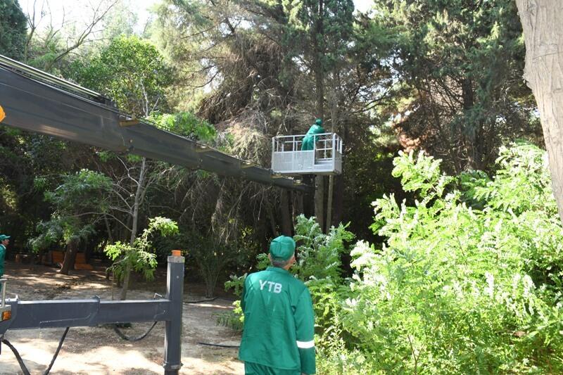 Paytaxtın küçələri yenidən yuyulub, yaşıllıqlara qulluq göstərilib