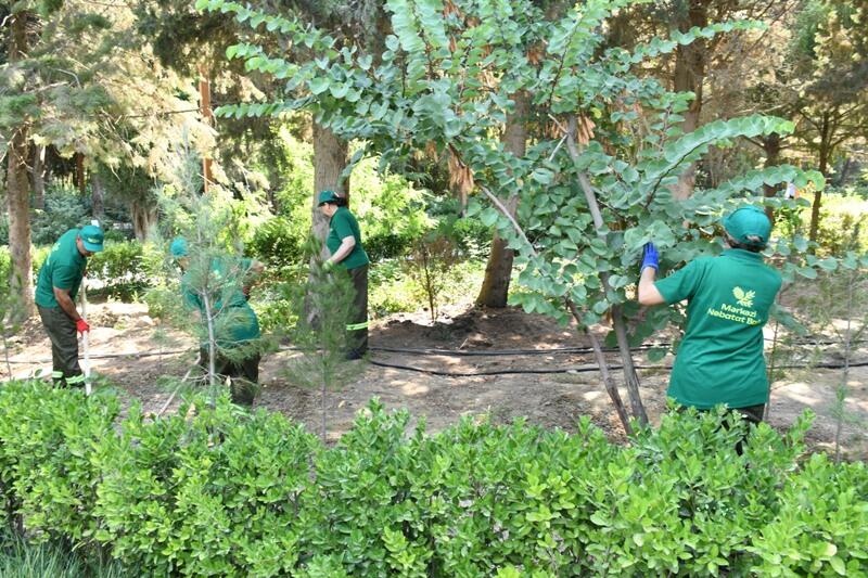 Paytaxtın küçələri yenidən yuyulub, yaşıllıqlara qulluq göstərilib