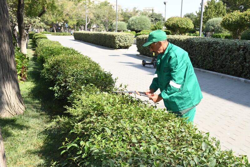Paytaxtın küçələri yenidən yuyulub, yaşıllıqlara qulluq göstərilib