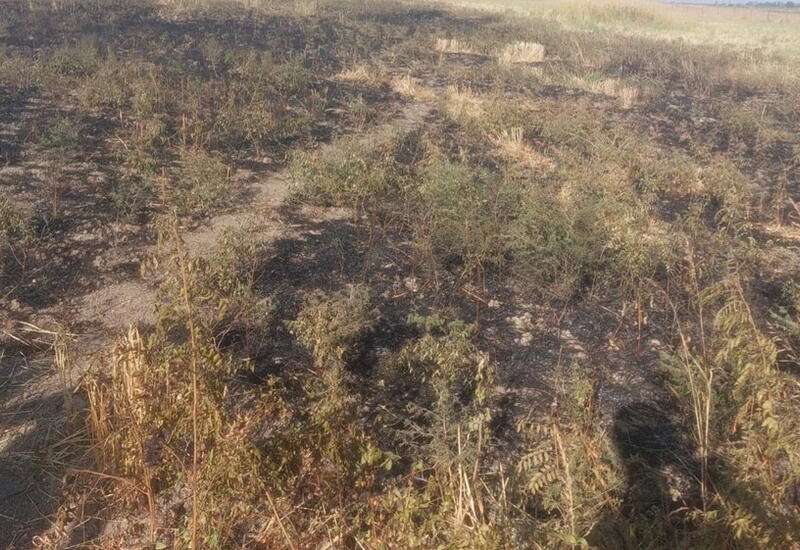 В Агсуинском районе задержали виновницу пожара