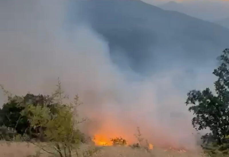 Zəngilanda yanğın törədən şəxs müəyyən edilib
