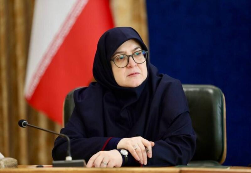 Пресс-секретарь правительства Ирана о ситуации вокруг Зангезурского коридора