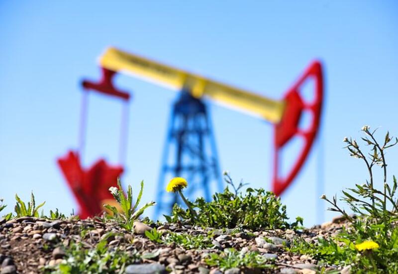 Мировому рынку нефти предрекли дисбаланс