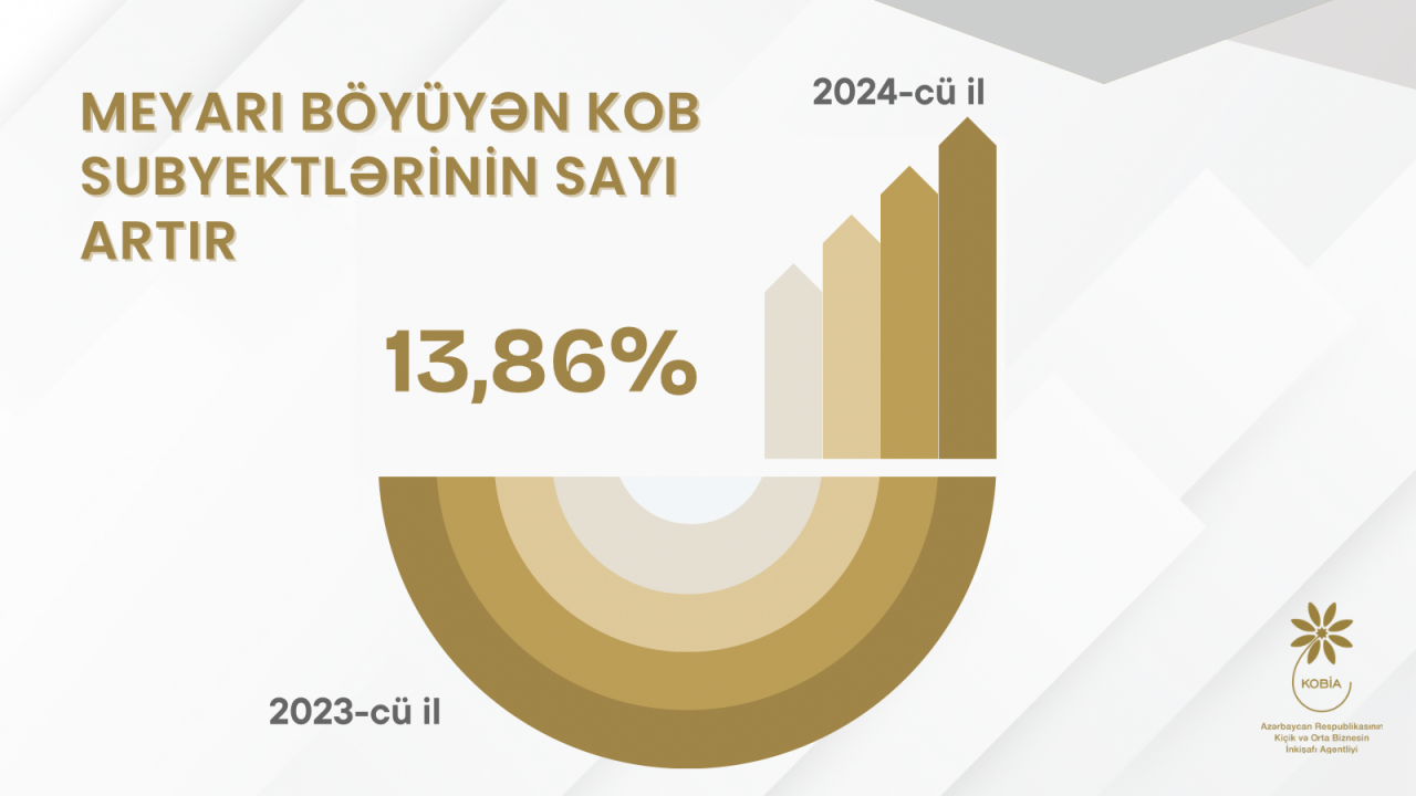 KOB subyektləri ikişaf edir