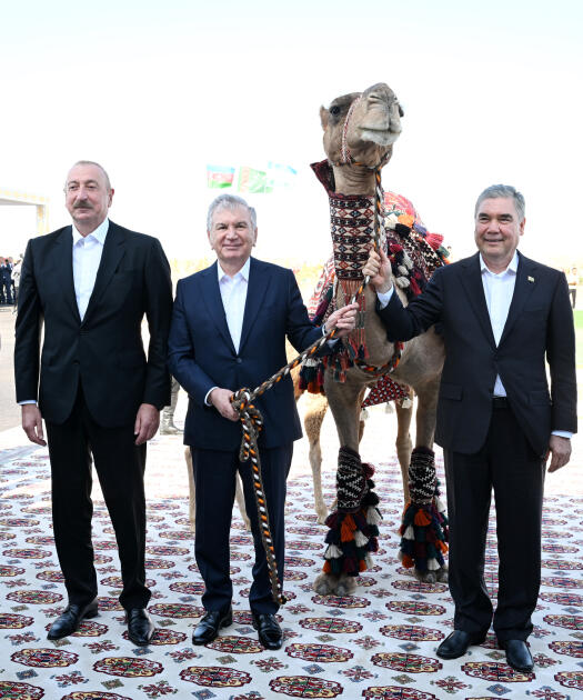 Prezident İlham Əliyevə “Axaltəkə” atı hədiyyə edilib