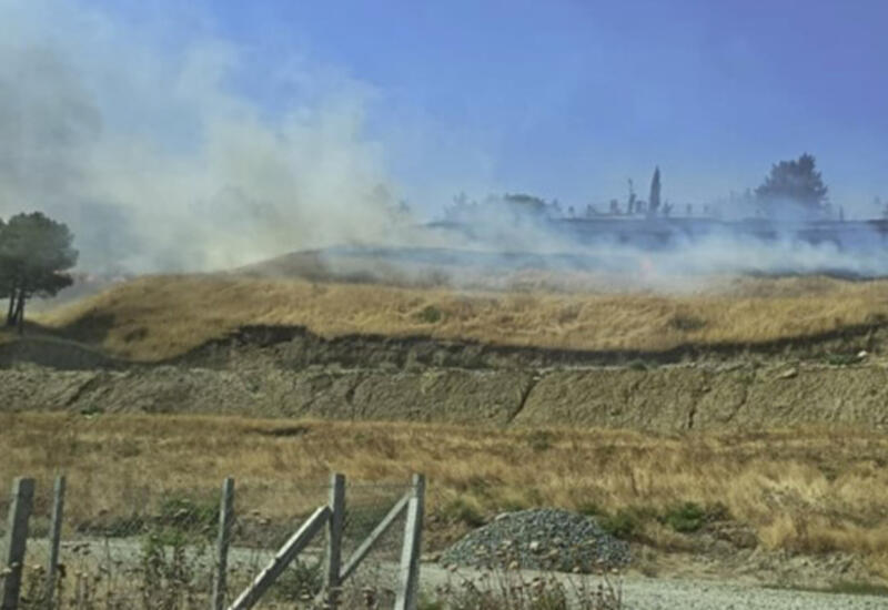 Əkin sahəsini yandırdı, 400 manat cərimələndi
