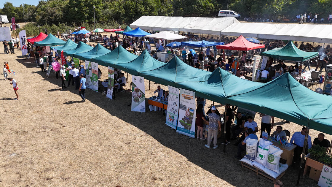 Göygöldə II Moruq Festivalı keçirilir