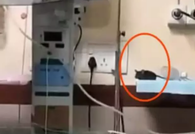 Hindistanda doğum evində faciə