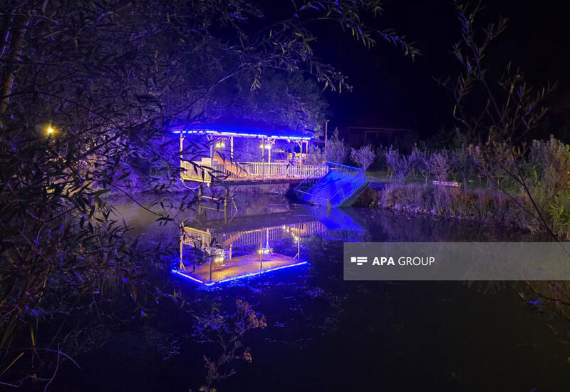 В Нахчыване в центре отдыха обрушилась платформа в водоеме