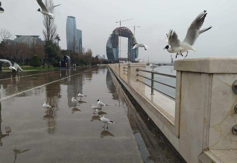 Bu tarixdə Bakıda yağış yağacaq