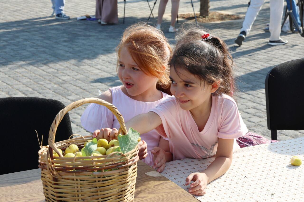 Qalada Əncir festivalı