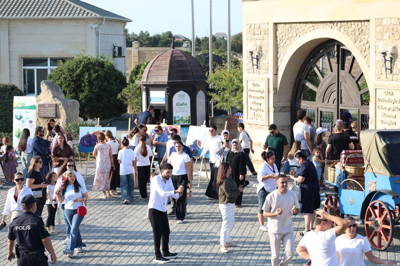 Qalada Əncir festivalı